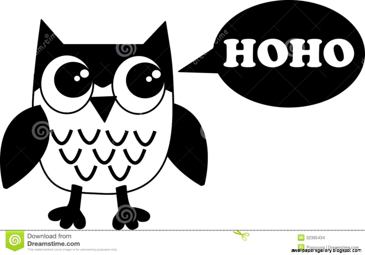A Black White Owl Stock Images Image 32395434 A Black White Owl Stock Images Image 32395434
