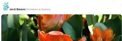 jardin botanico