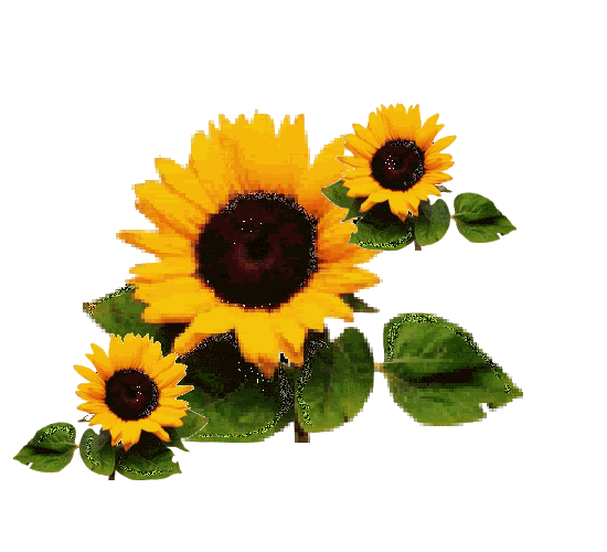 List 95+ Wallpaper Jamorant Gif Wallpaper Completed