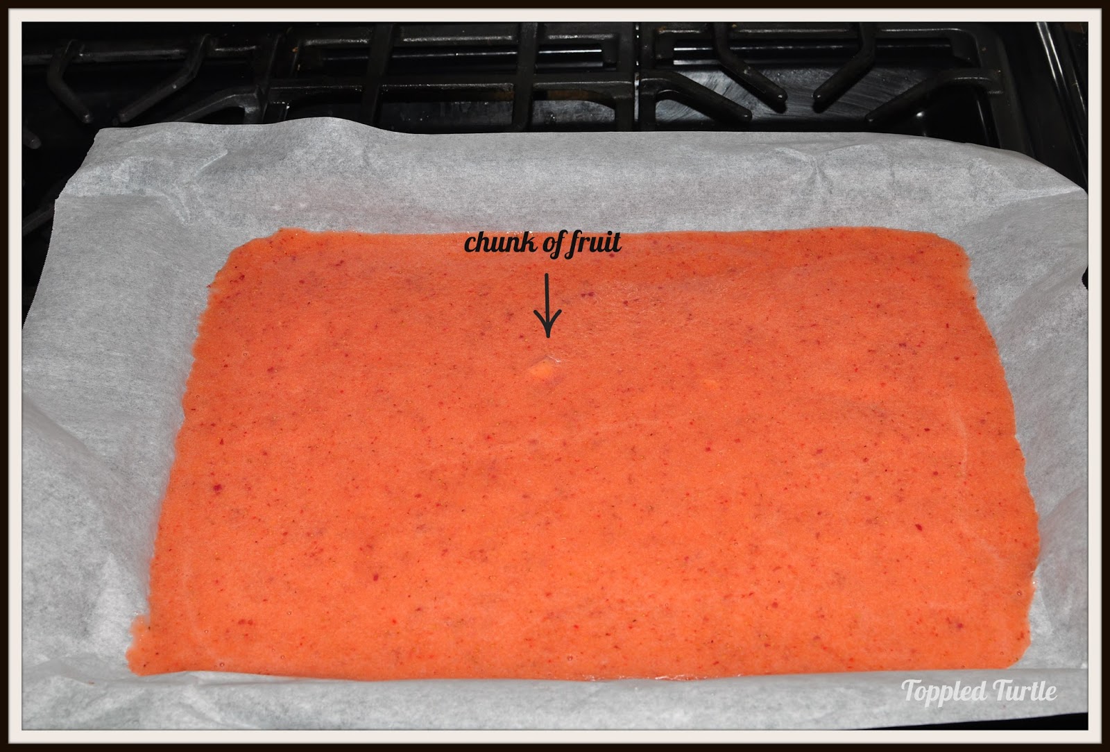 Toppled Turtle Easy Homemade Fruit Rolls Ups 1 ingredient!