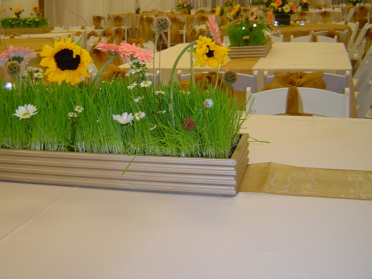 Learn how we created Sophie's Wheatgrass centerpieces!