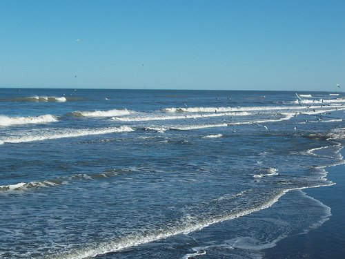 El mar azul.....la mar...sus olas - Página 5 Mar+azul+argentina+t5