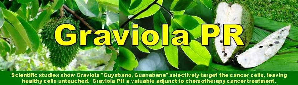 Graviola "Guyabano, Guanabana" Leaf Powder