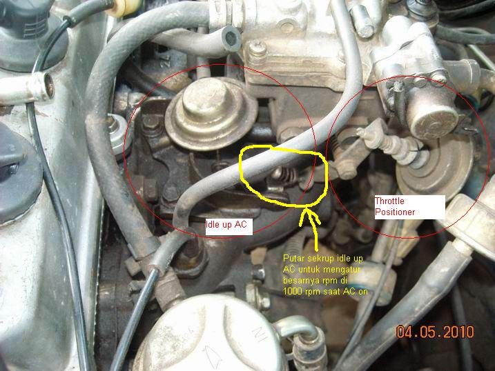 IDLE UP DIAPHRAGMS java borneo