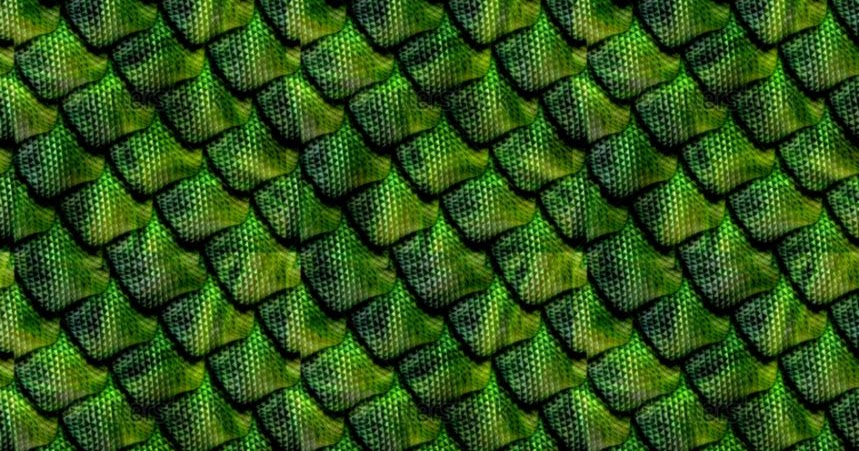 Reptile Scales Wallpaper | Amazing Wallpapers
