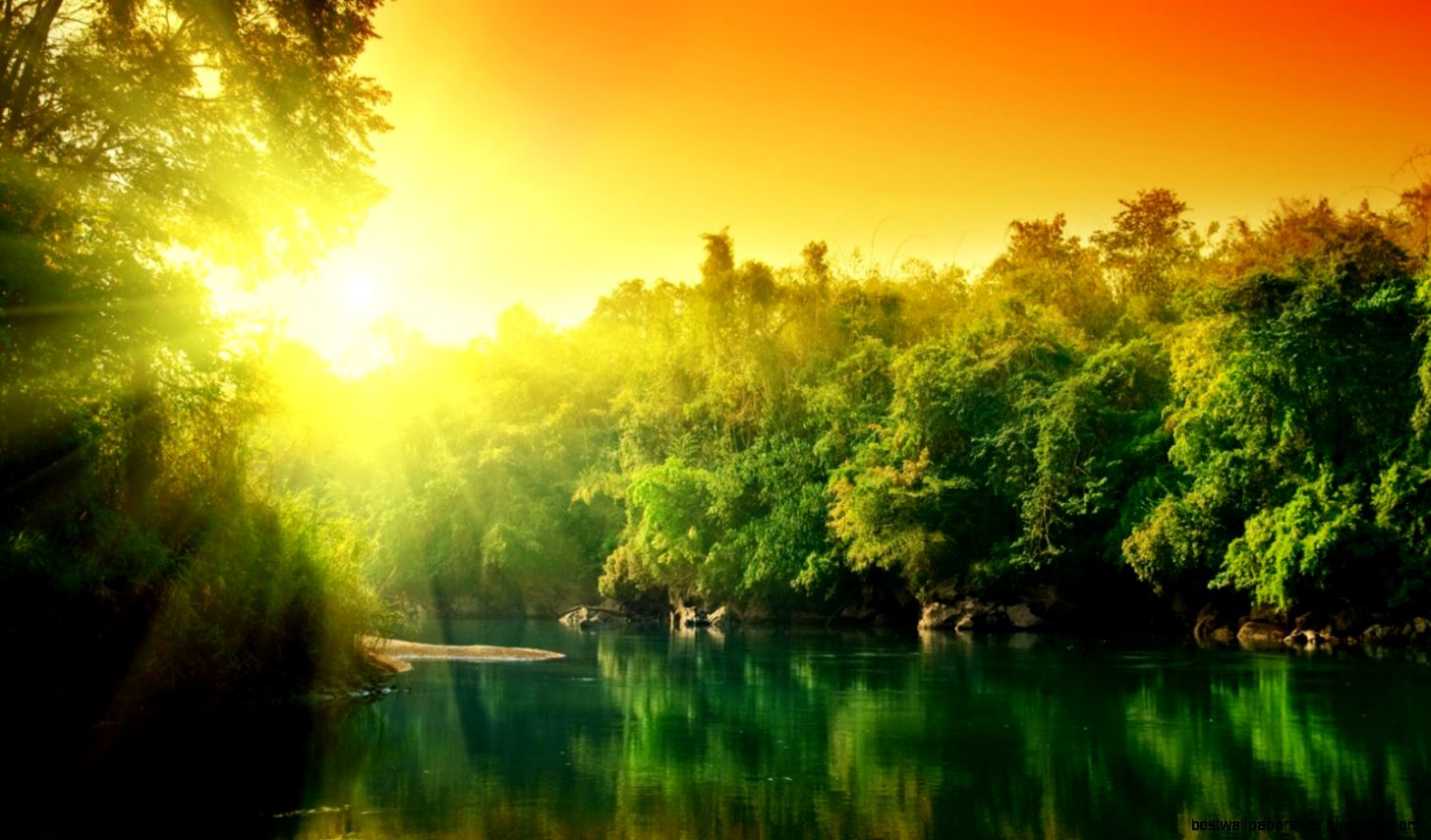 Nice Forest Wallpaper Sunrise Image High Definition Picture Nice Forest Wallpaper Sunrise Image High Definition Picture