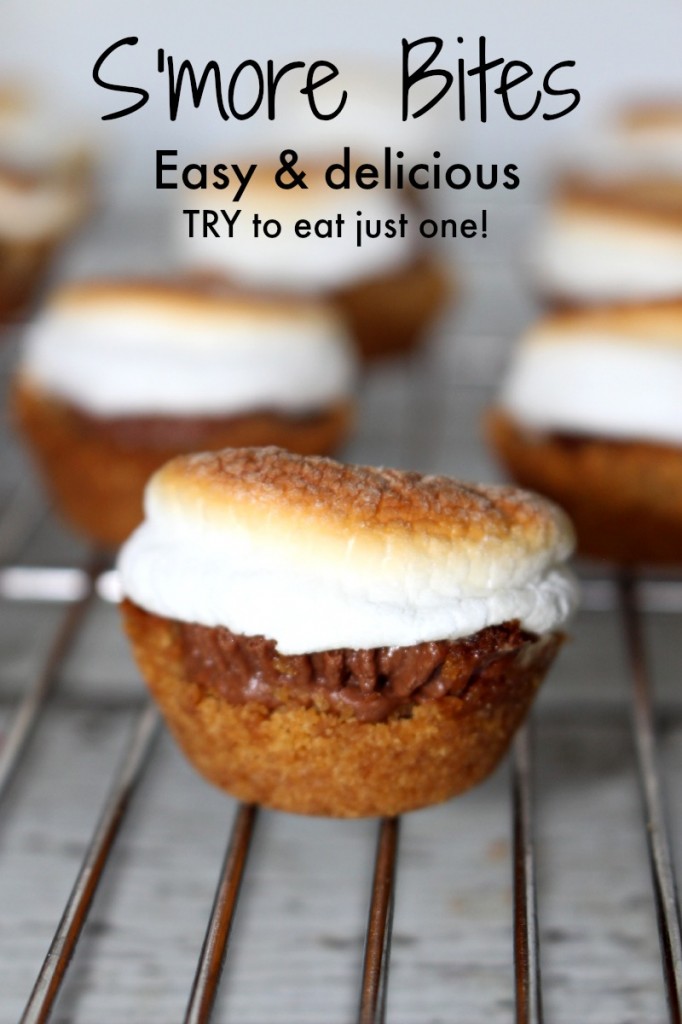 smore bites try to eat just one | 10 Pretty Pastries | 29 |