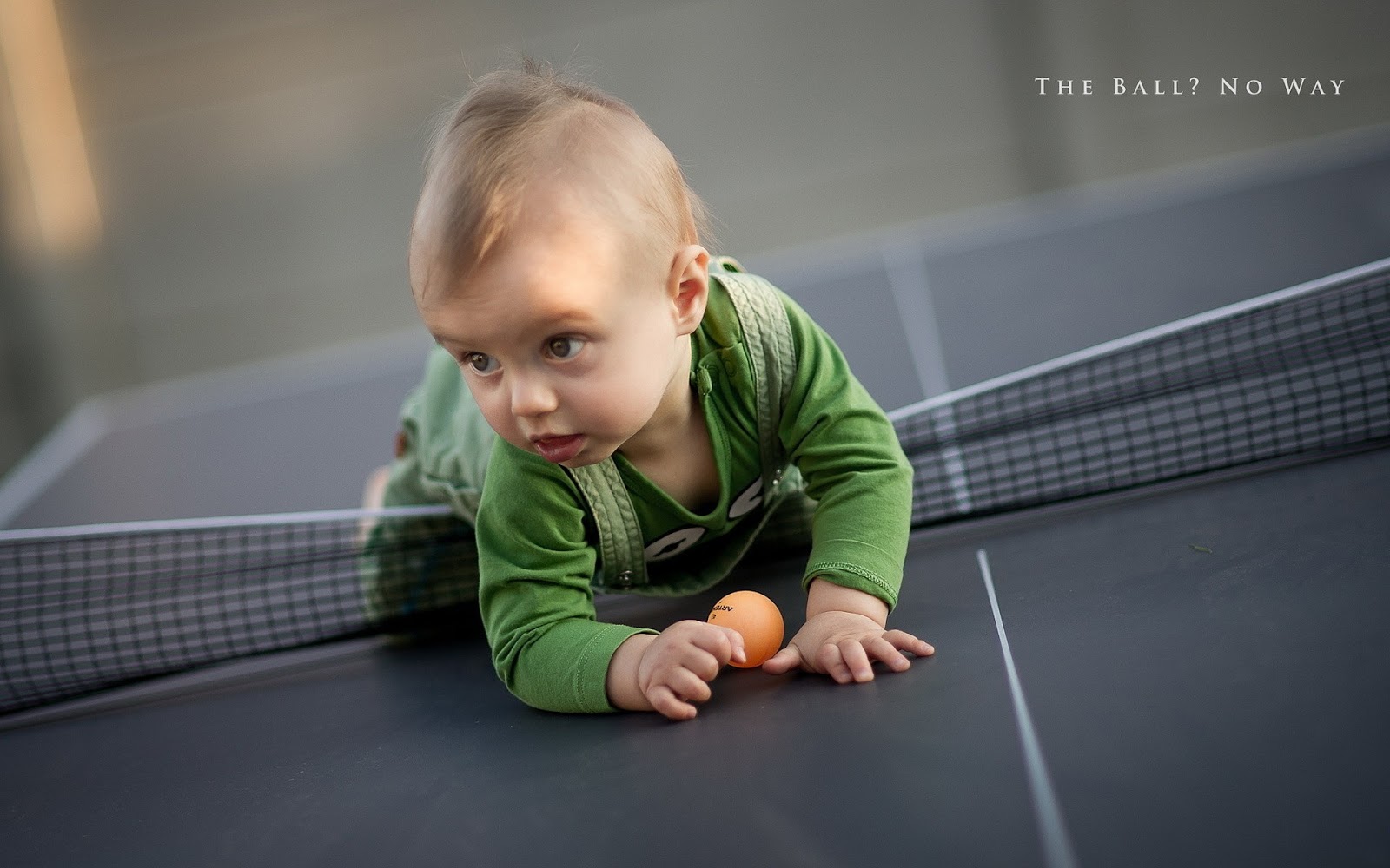 Baby Boy and Tennis Ball Mystery Wallpaper