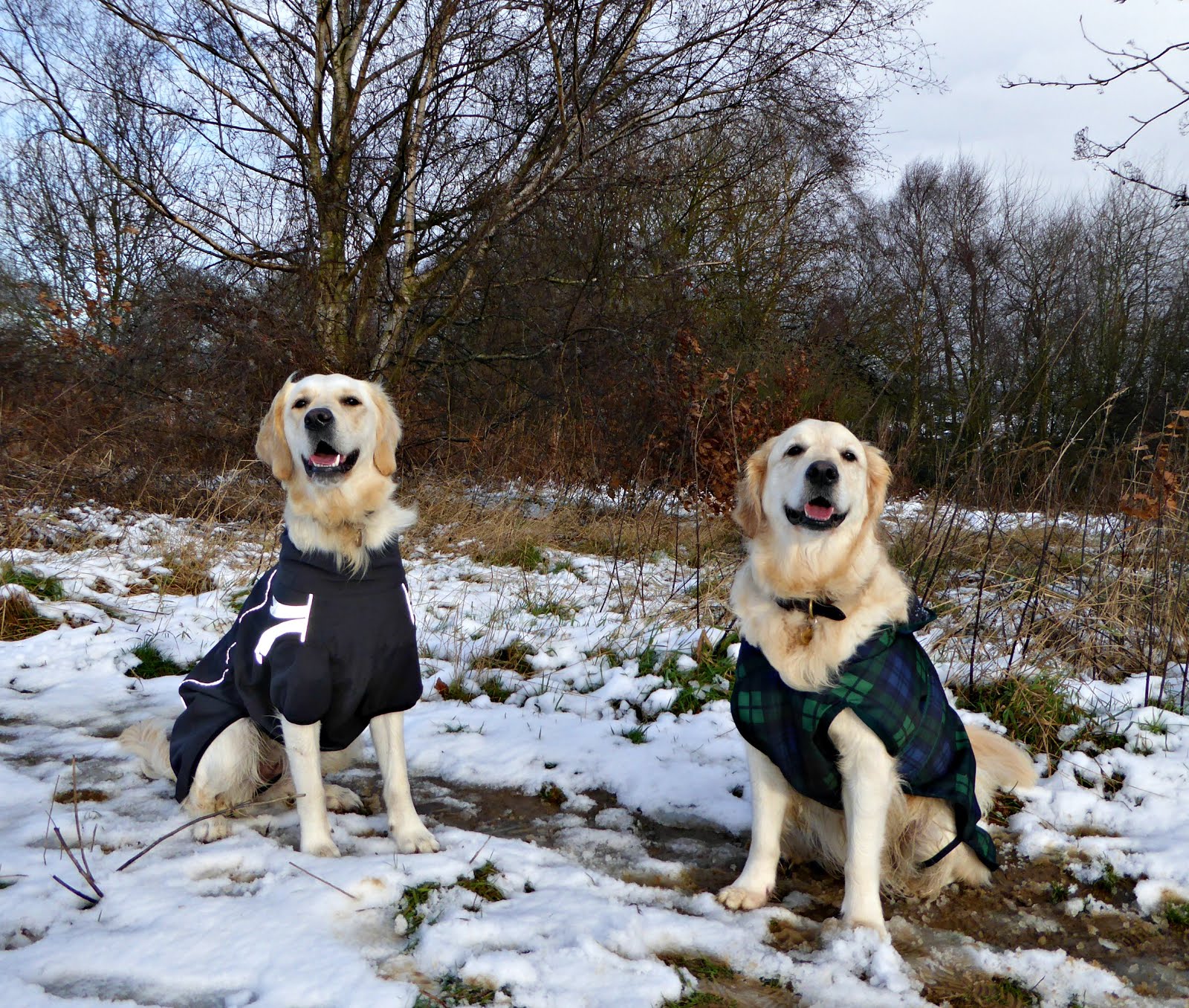 Betty's first snow