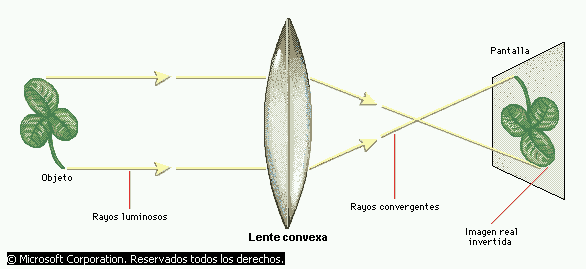 HZ PRINCIPAL EN LAS hz principal en las: