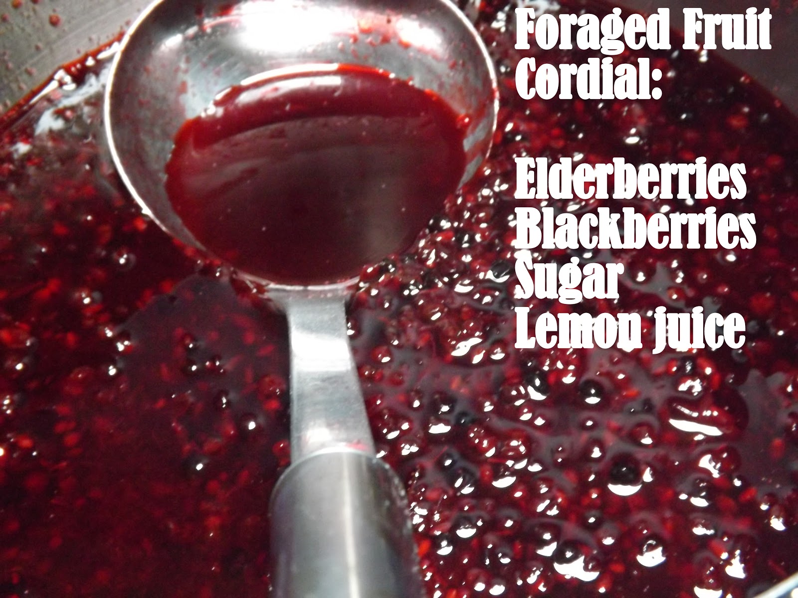 Me and my shadow Foraged Fruit Cordial