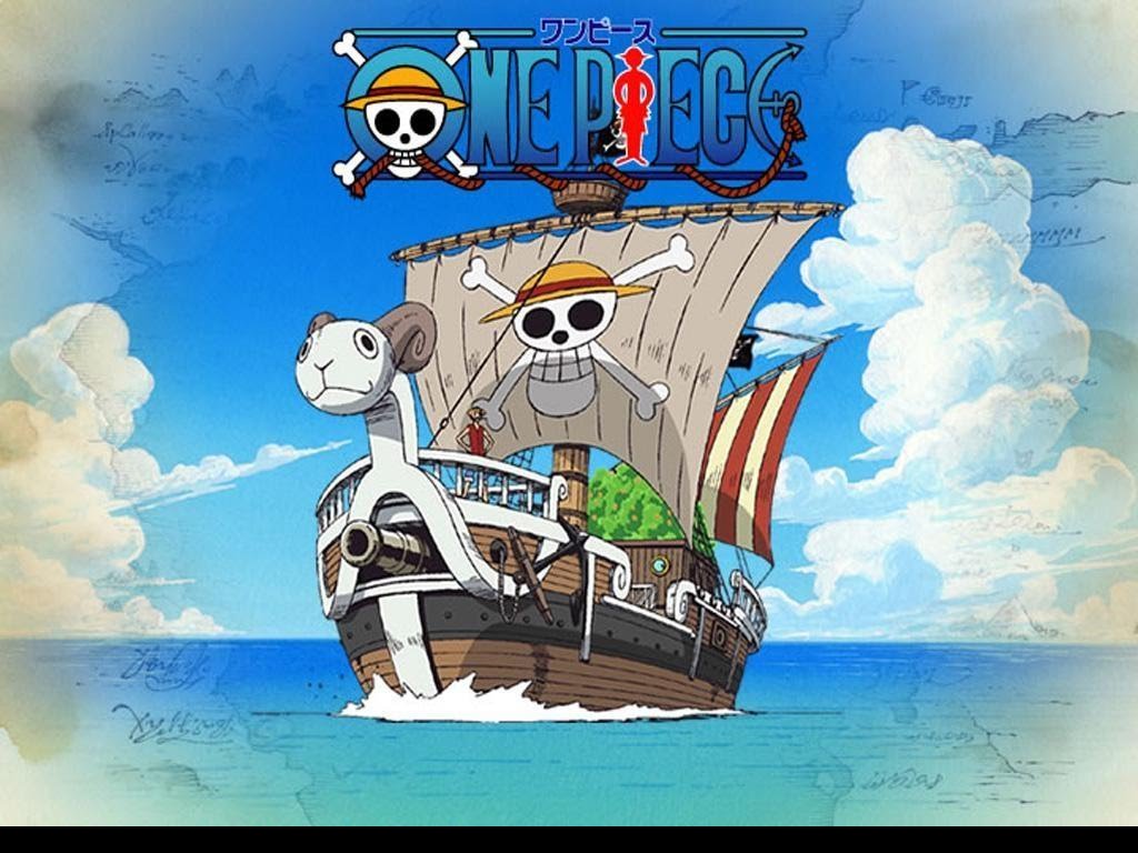 One piece ship