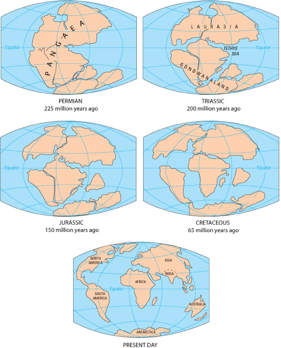 Répartition des groupes de reptiles Capture+d%E2%80%99e%CC%81cran+2012-01-30+a%CC%80+14.18.19