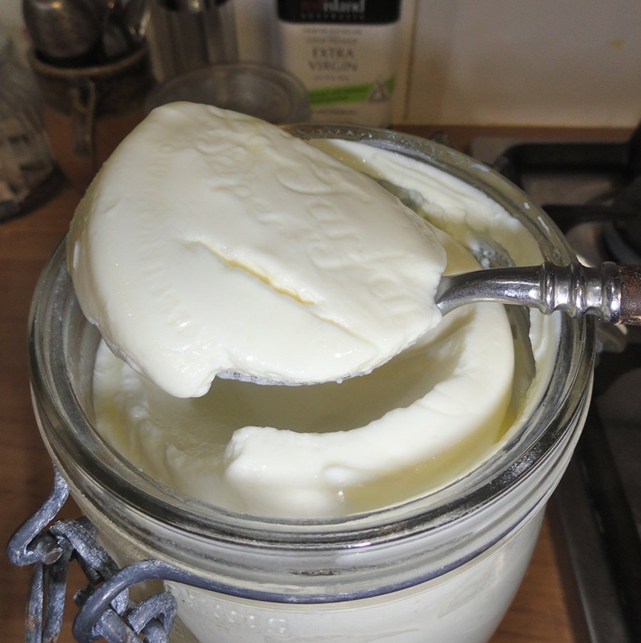 Yoghurt make it yourself Down to Earth