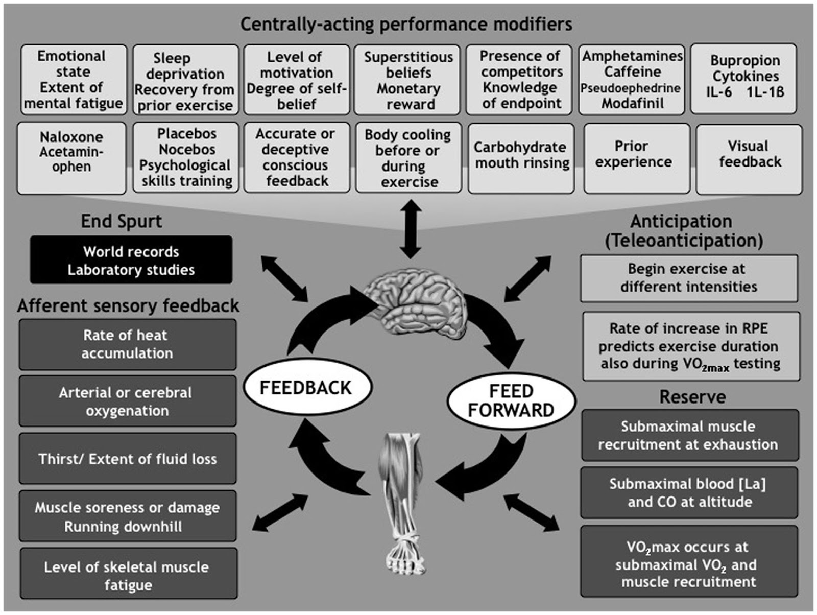 UltraStu Millsy's Memories and Mutterings about Trail Running The