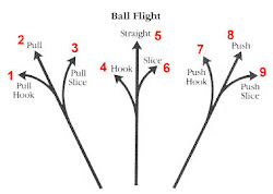 Ball Flight Laws