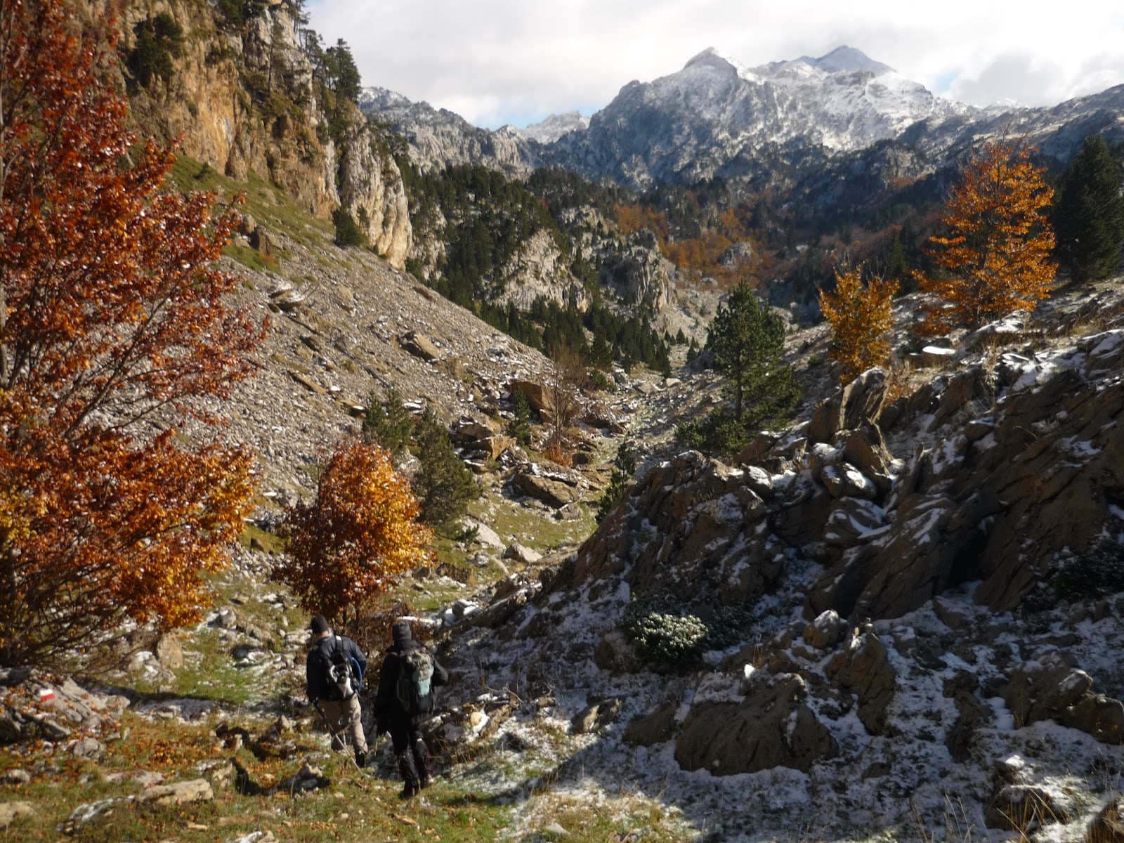 external image P1130709.JPG