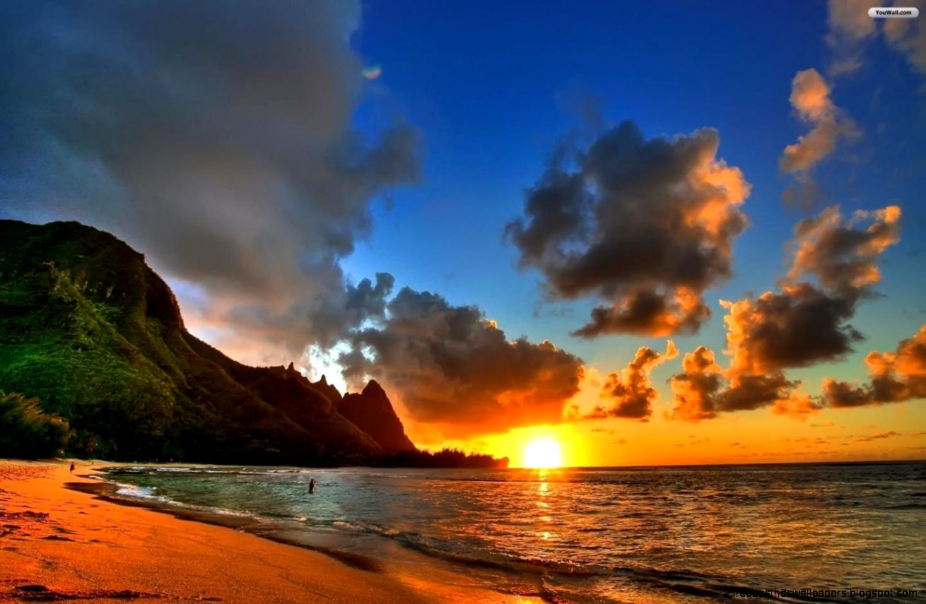 YouWall Summer Sunset at Sea Wallpaper wallpaperwallpapers YouWall Summer Sunset at Sea Wallpaper wallpaperwallpapers