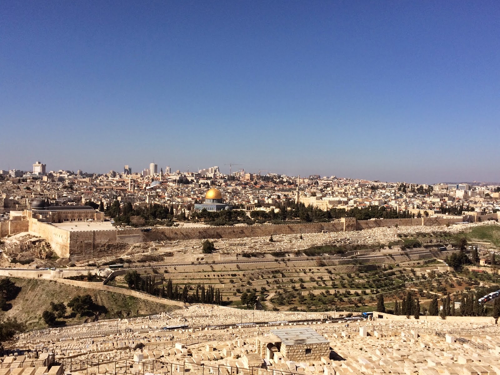 andy at faith The Miracles of Jesus Cursing the Fig Tree