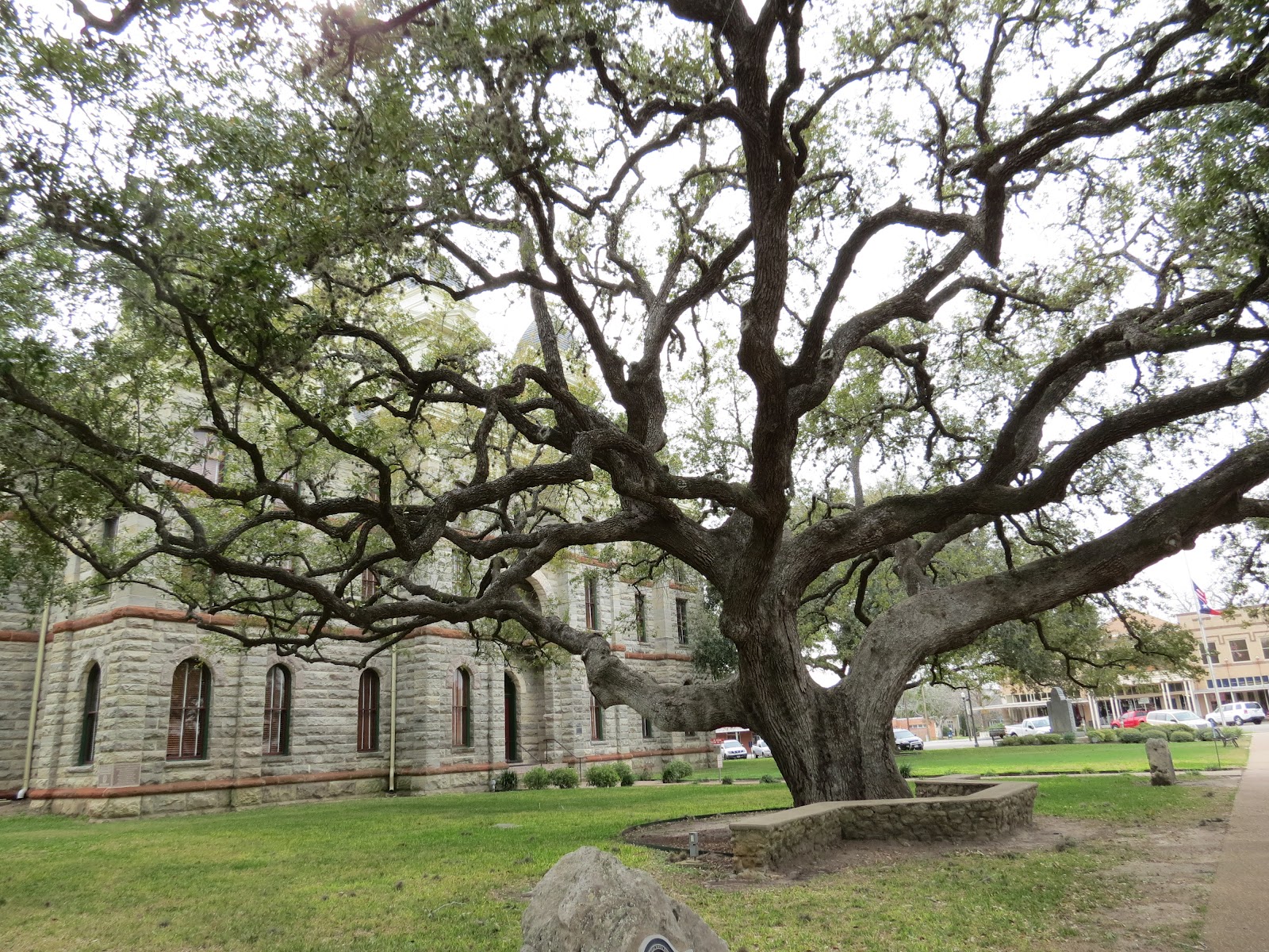 Where's Liz2012? Goliad, TX