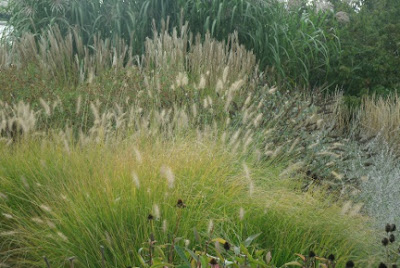 Layers and waves of ornamental grasses and perennials in autumn Toronto Music Garden by garden muses: a Toronto gardening blog