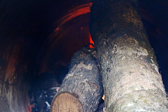 logs burning inside an iron stove