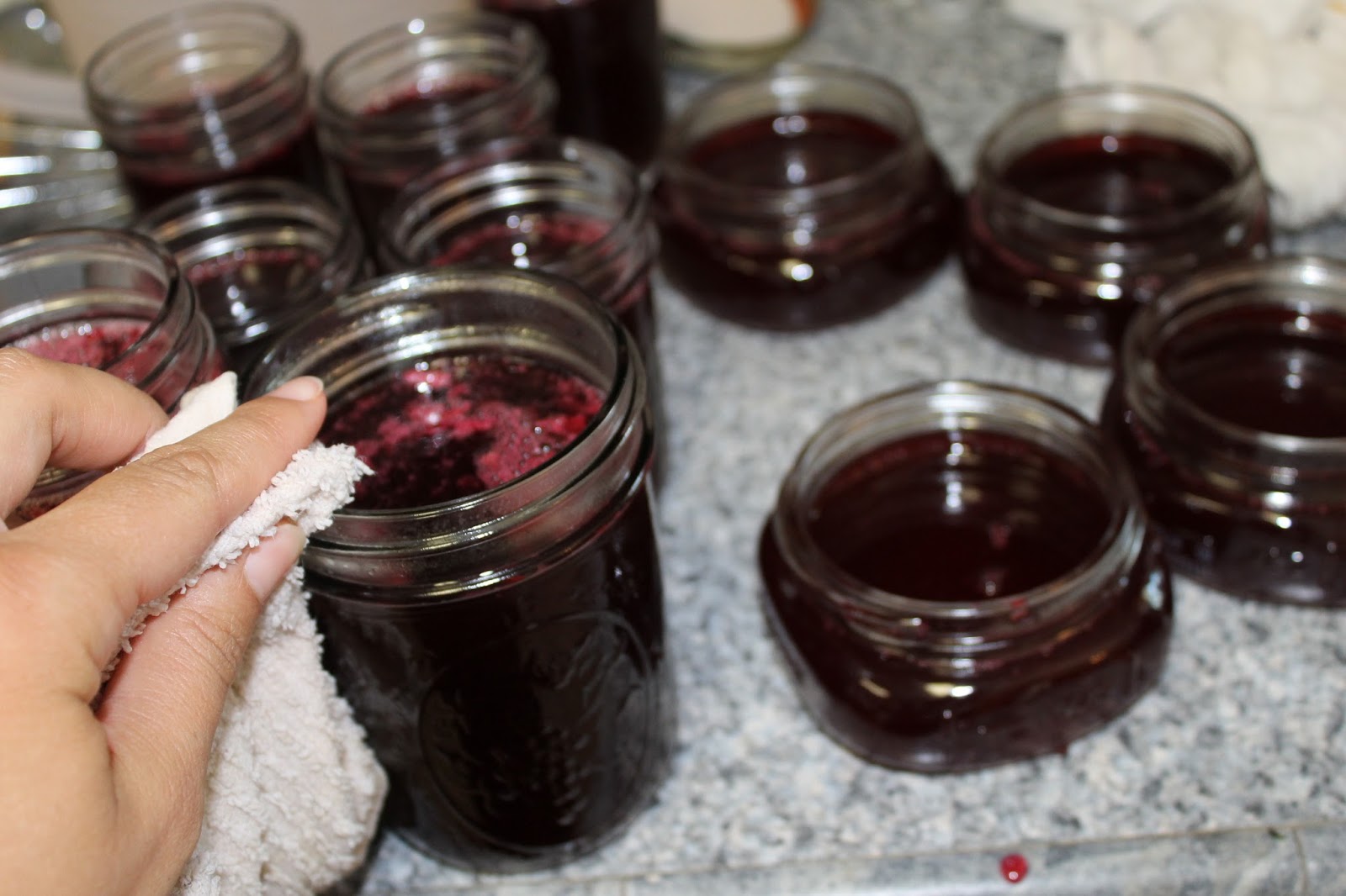 Choke Cherry Jelly A Ranch Mom