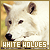 I like white wolves