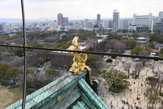 Shachihoko is a combination of Tiger head and fish body which are placed at the end of the main roof ridge to protect the building in Japan Shachihoko is a combination of Tiger head and fish body which are placed at the end of the main roof ridge to protect the building in Japan