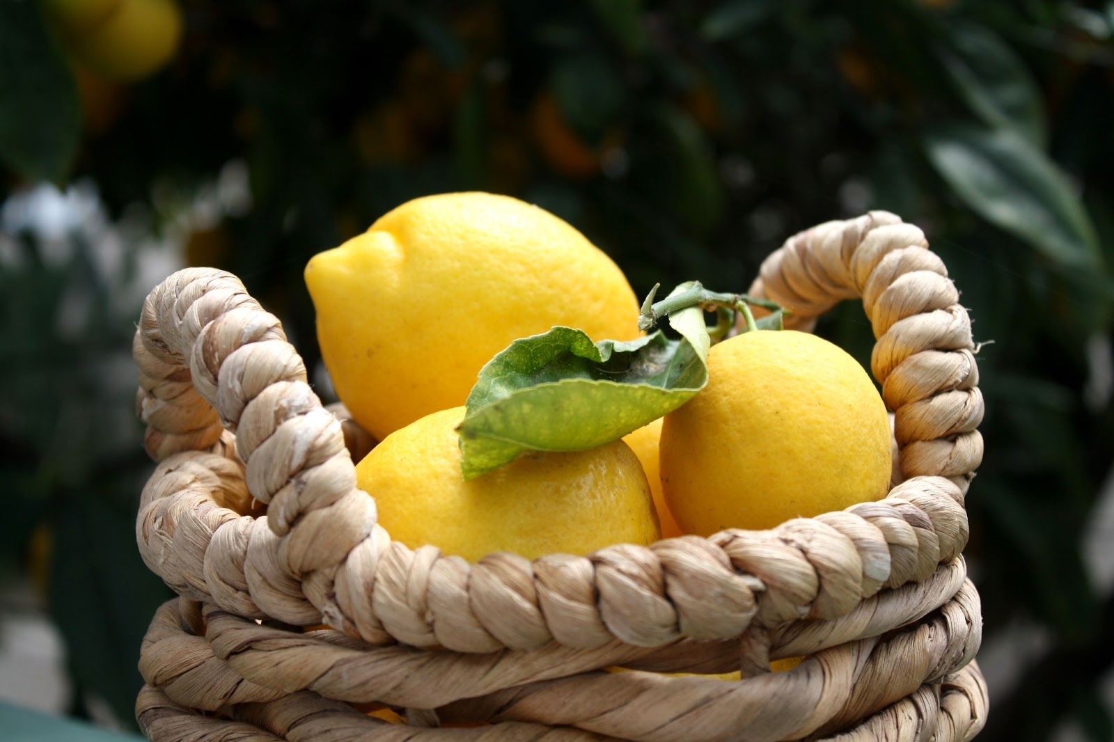 Hello Hungry! Fresh, FromtheTree, Lemonade