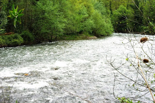 río Narcea