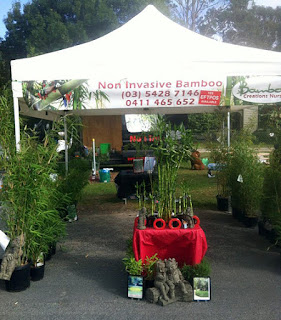 Bamboo Creations Victoria at foster promontory market