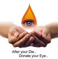 An appeal for eye donation essay picture