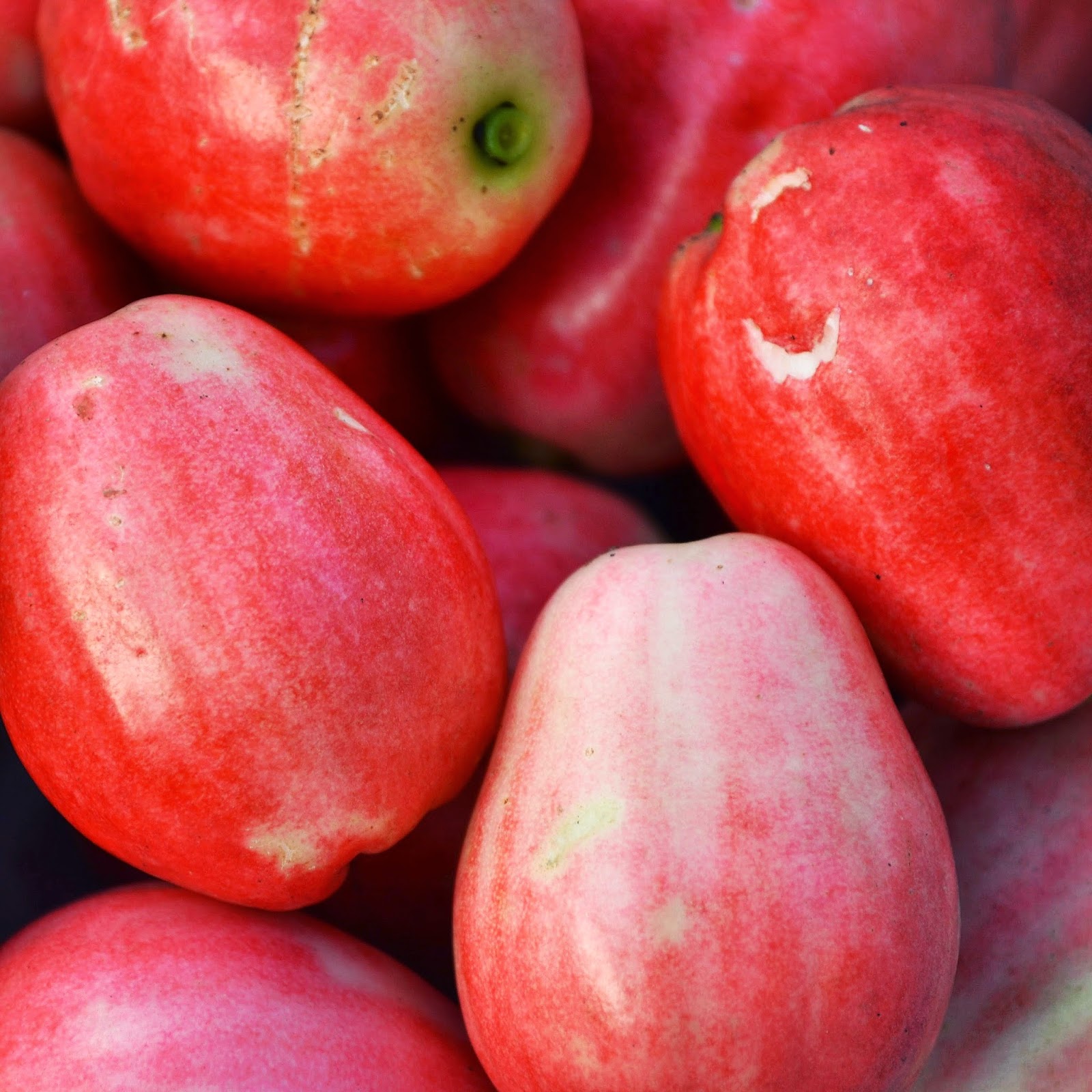 10 Caribbean Fruits to Try Before You Die | Deep Fried Stilettos