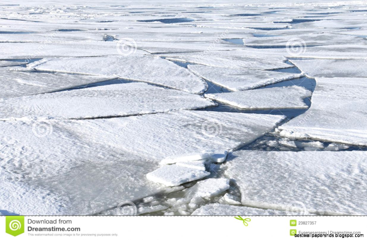 People Frozen in Ice Blocks People Frozen in Ice Blocks