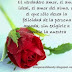 Imágenes de amor - Imágenes de San Valentín - Mensaje de amor en imagen con flor en fondo 