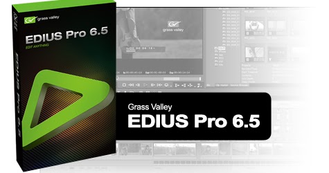 edius pro 8 video format support edius pro 8 video format support