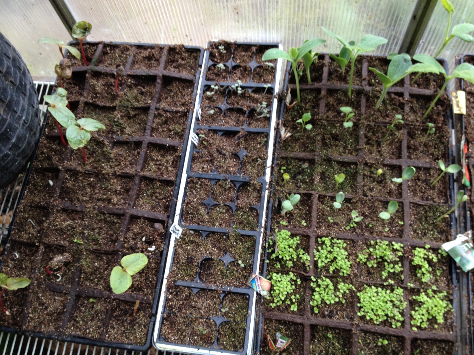 Growing Steady The Propagation Table