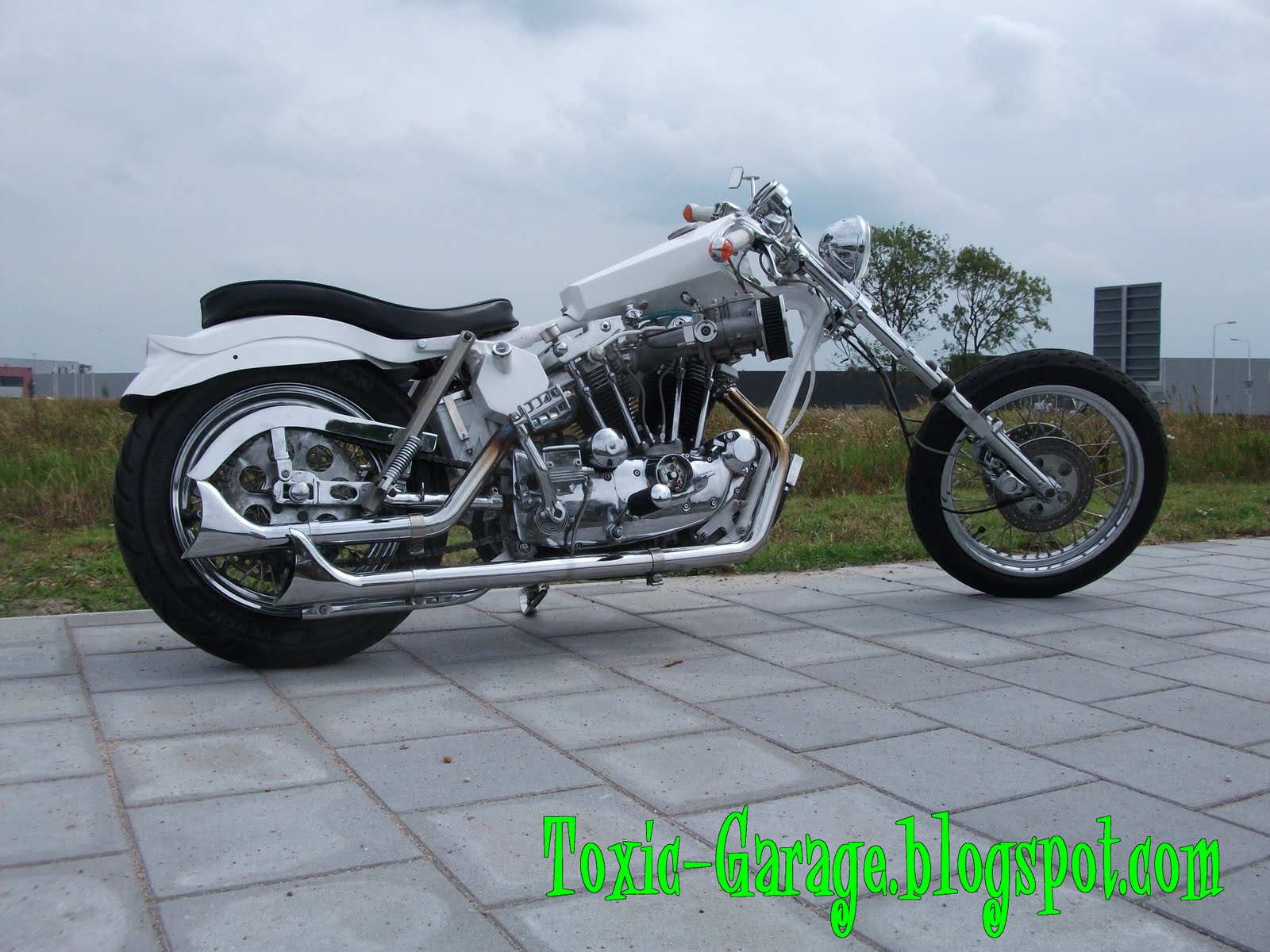 Evo sportster Diggers?