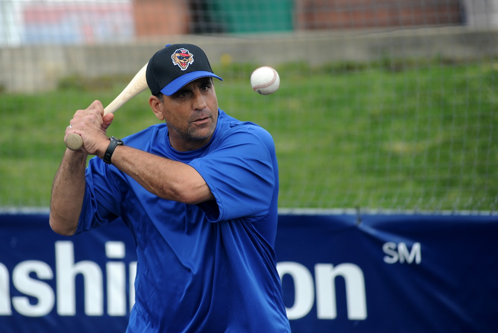 Wild about Things March 2013