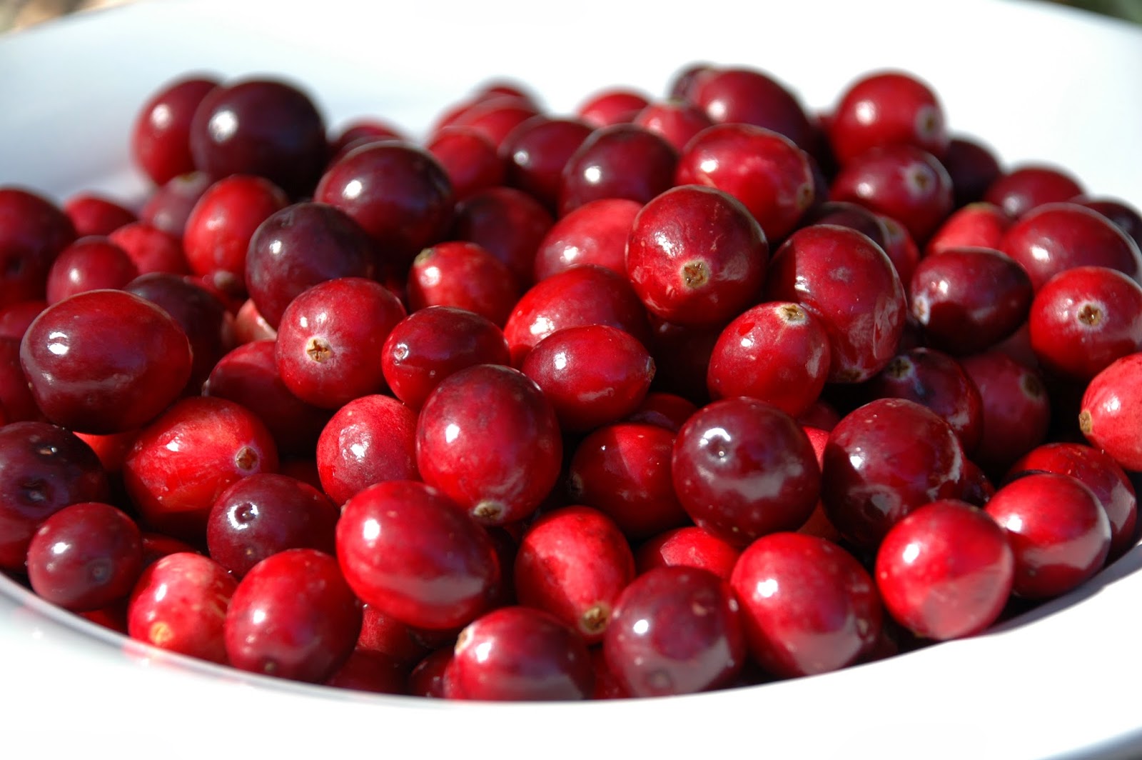 Aguja y Cuchara Nuevo alimento Cranberries (arándano rojo)