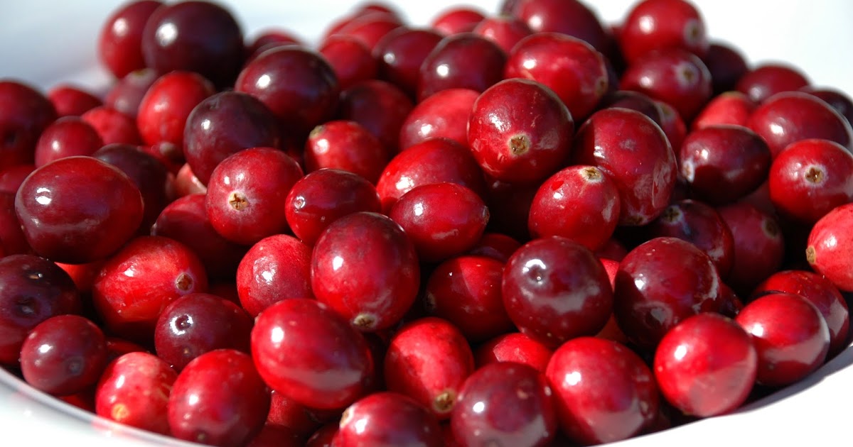 Aguja y Cuchara Nuevo alimento Cranberries (arándano rojo)