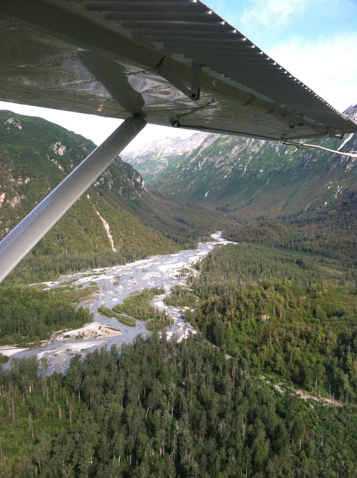 parsley & polka dots silver salmon creek lodge