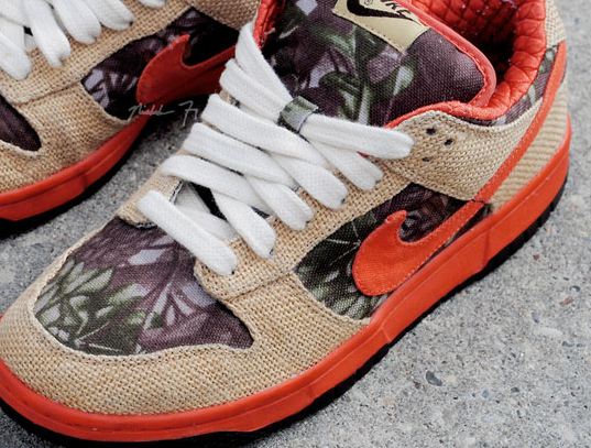 nike sb dunk low hunter