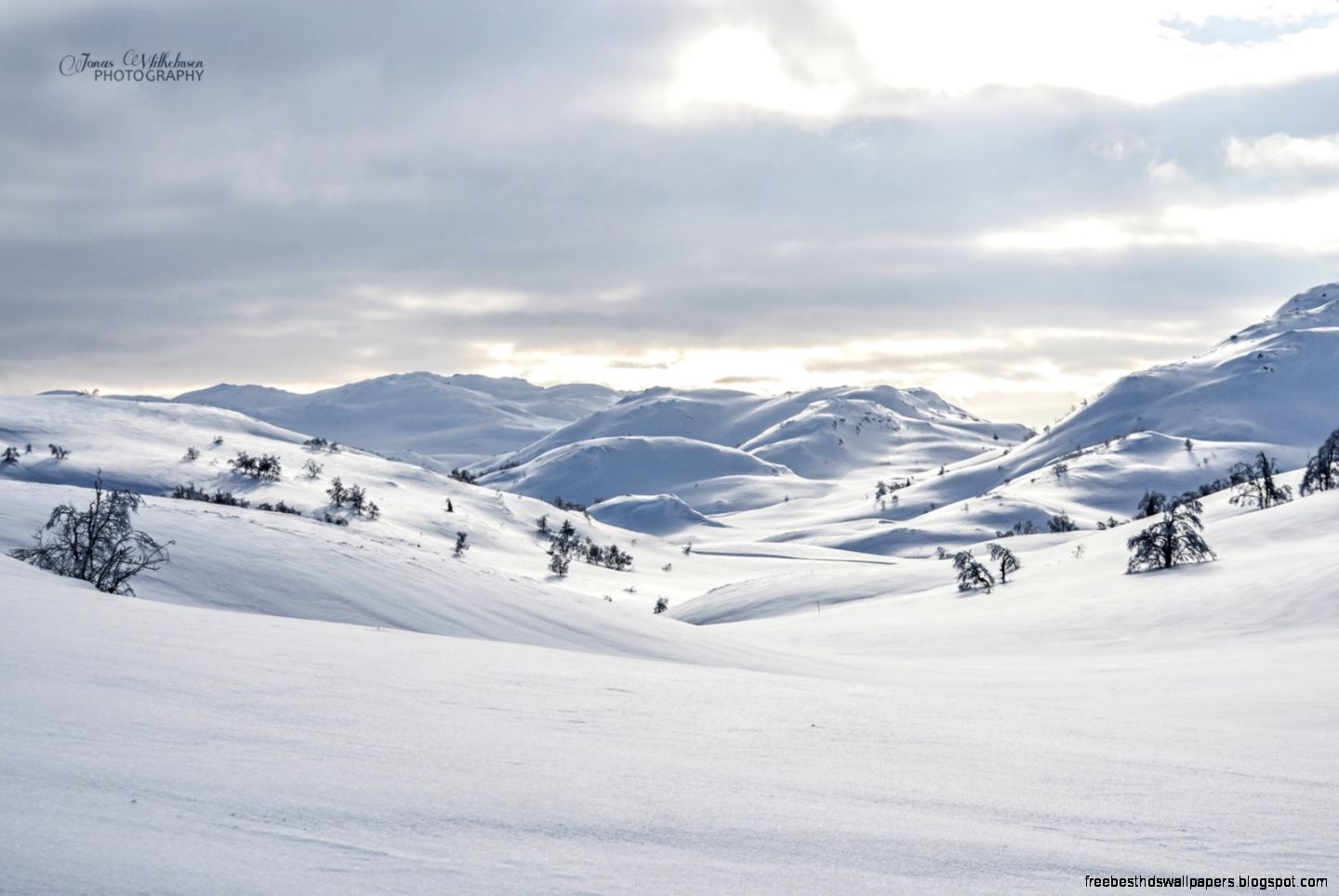 Wide snow landscape by zipfileART on DeviantArt Wide snow landscape by zipfileART on DeviantArt