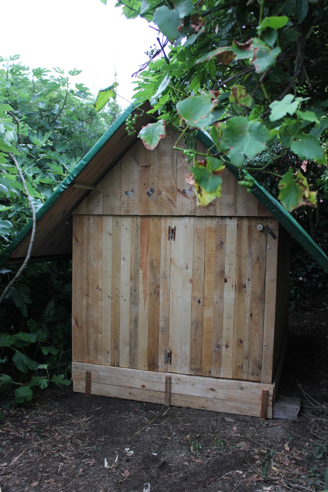 Hen House | The Green Lever - Using minimal resources for maximum