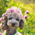 Ένα λουλουδάτο σκυλάκι...