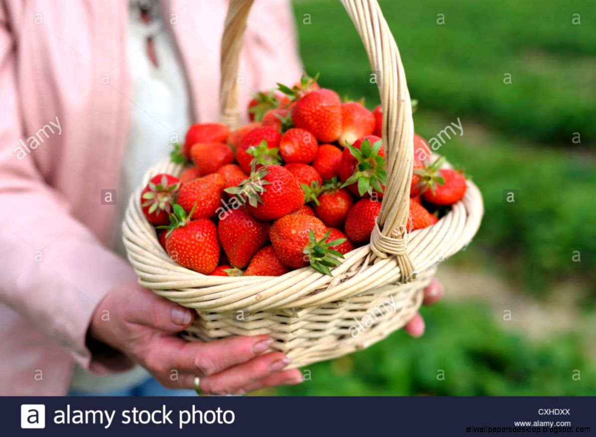 Strawberries Close Up Hd W