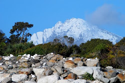 Southern Alps