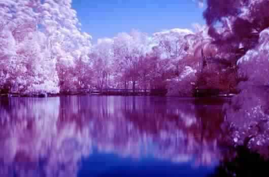 Nature HD Wallpapers - Entertainment Plus